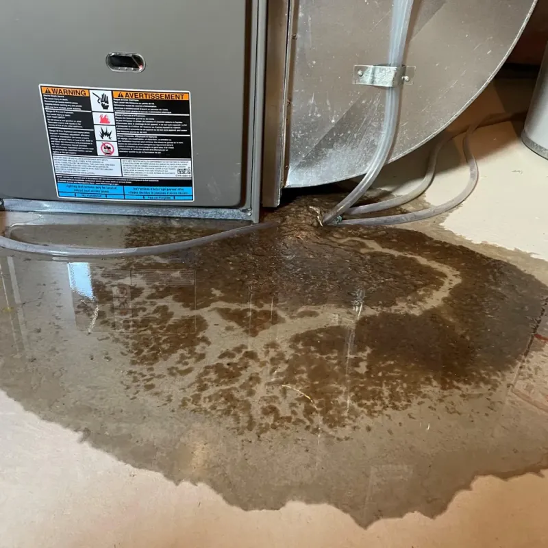 Appliance Leak Cleanup in Bloomsburg, PA